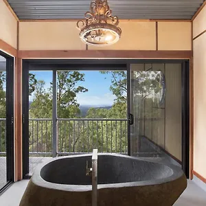 Lodge Gold Coast Tree Australia